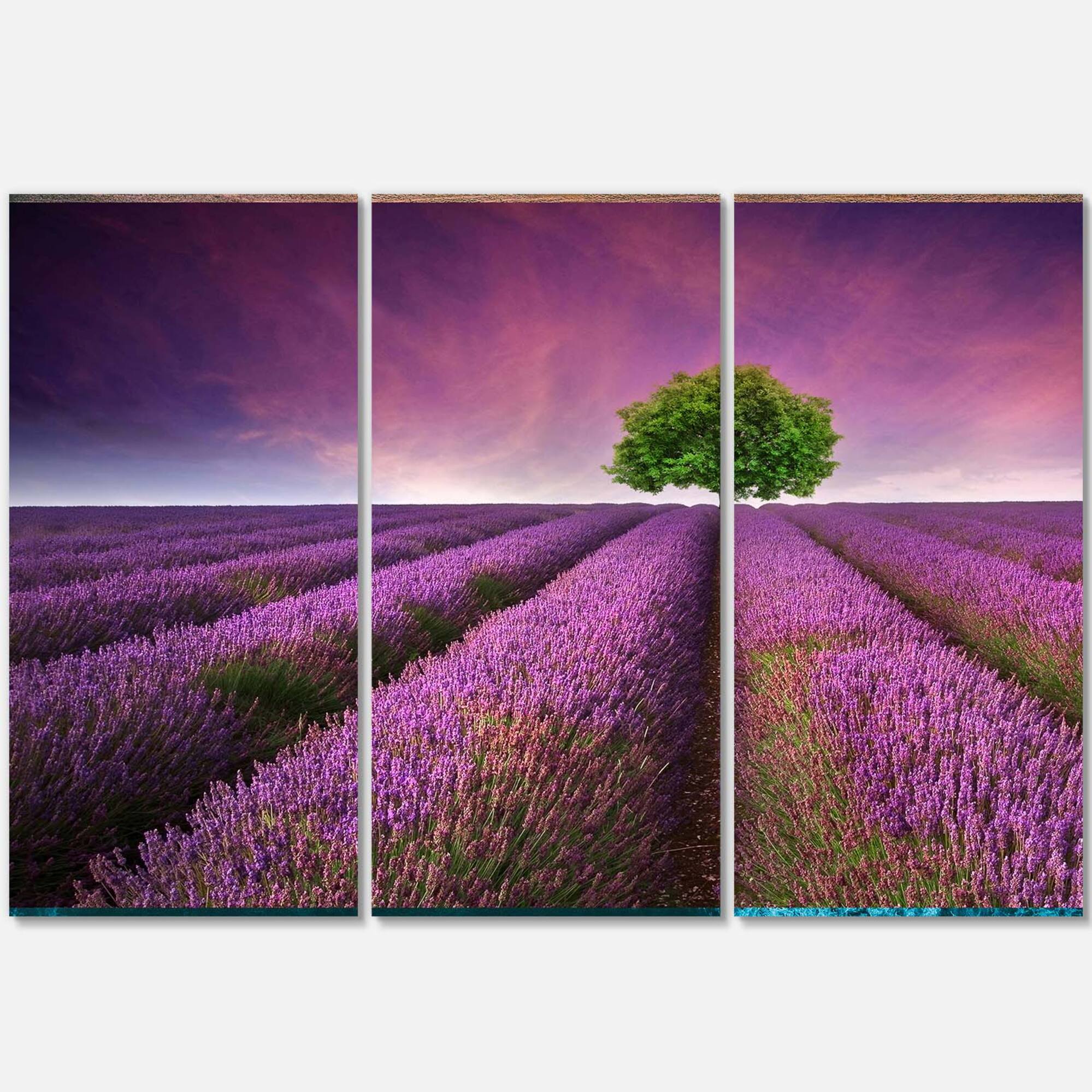Designart - Lavender Field Sunset with Single Tree
